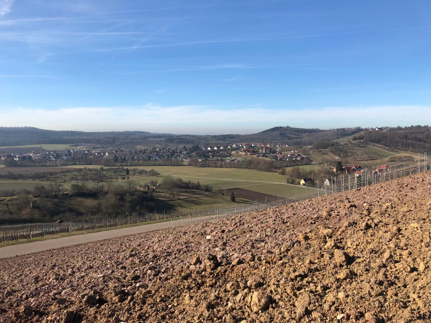 Die Aussicht vom Weinberg