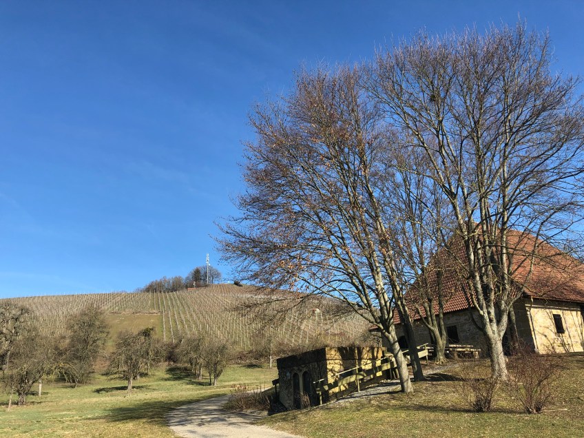 Blick zurück zum Aussichtspunkt, vorbei an der Historischen Kelter