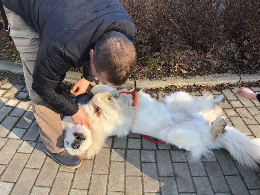 Die Bella fühlt sich wohl!