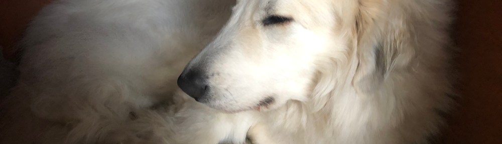 Die Bella in ihrer Villa "Idefix"