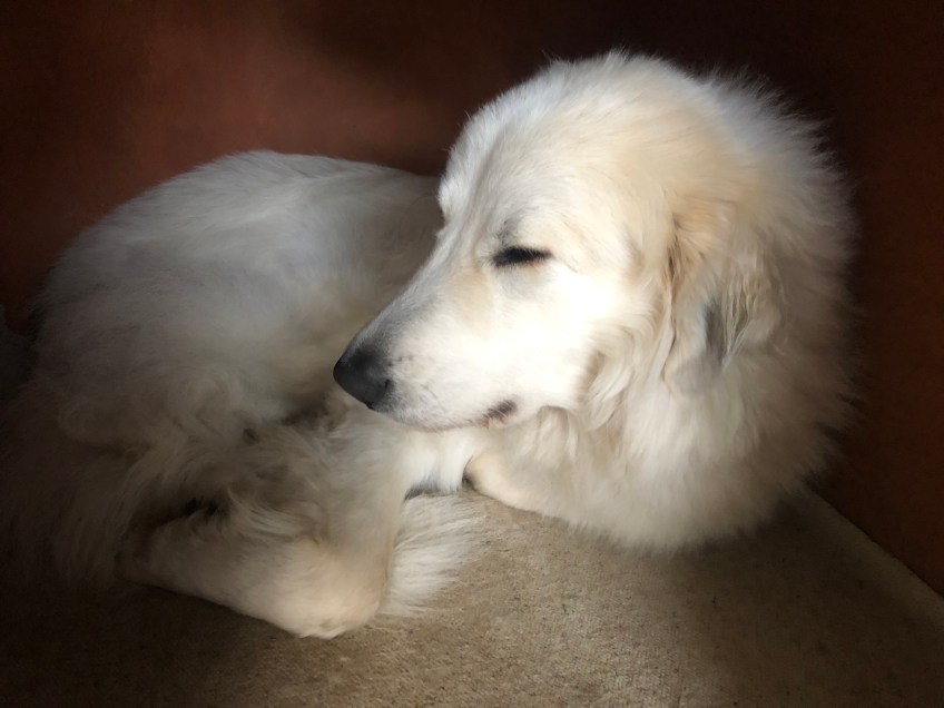 Die Bella in ihrer Villa "Idefix"