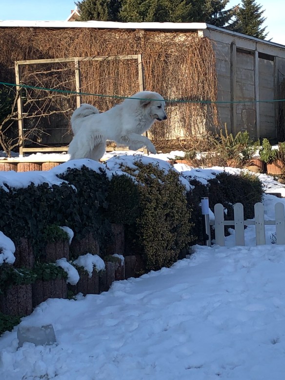 Achtung, die Bella kommt angeflogen!