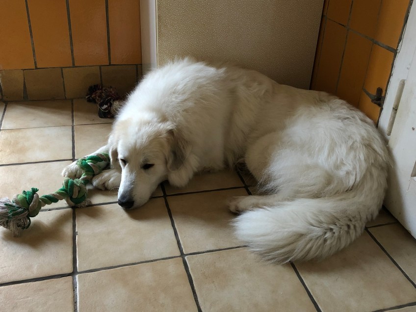 Ich mußte erstmal in meine Kellerwohnung. Wollte ich aber nicht.