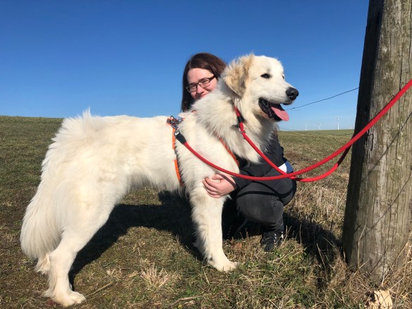 Die Bella mit ihrer großen Menschenschwester auf der großen Feldwiese