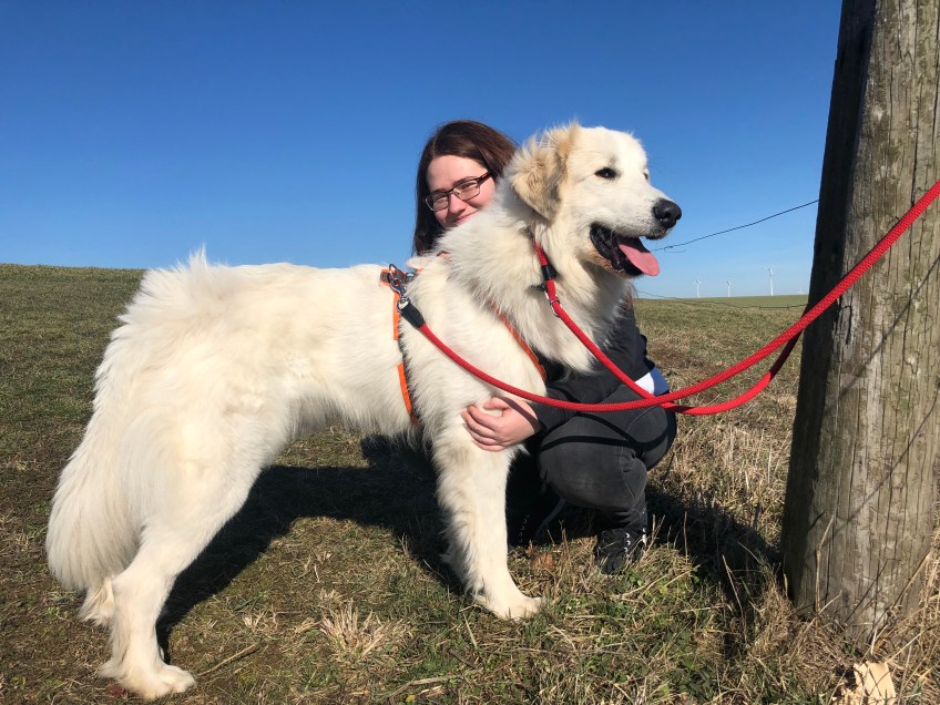 Die Bella mit ihrer großen Menschenschwester auf der großen Feldwiese