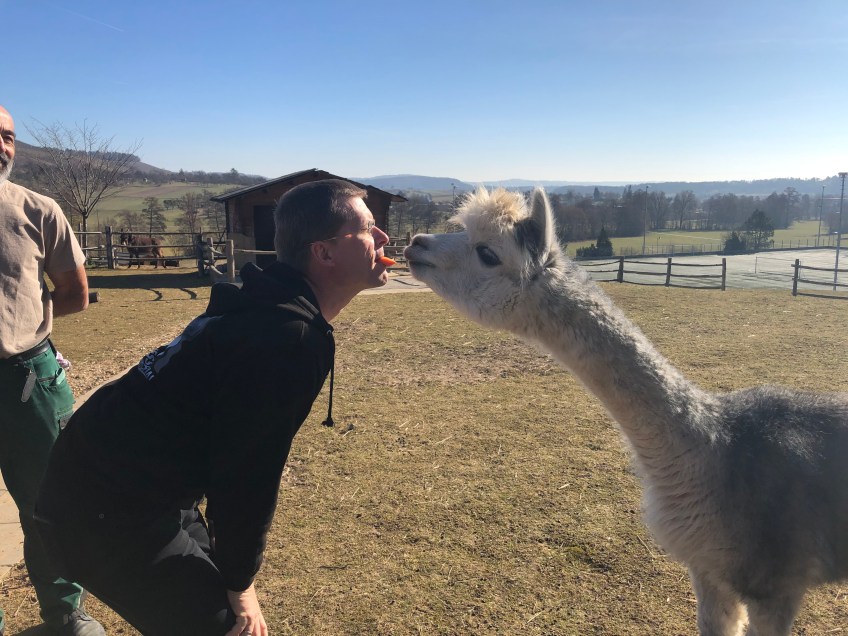 … meine Möhre …