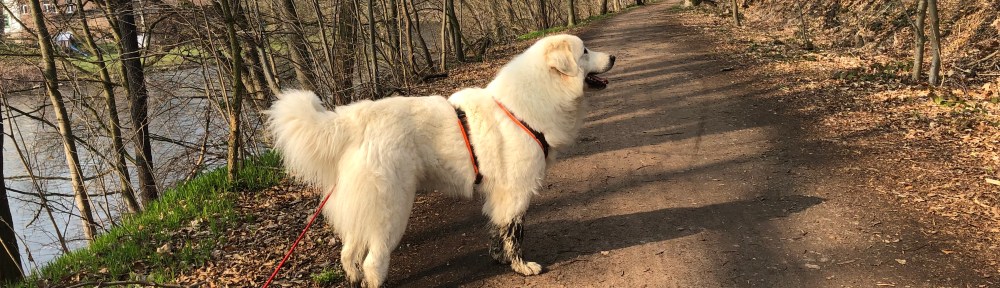 Die schöne Pyriprinzessin Bella auf dem Zschopautalweg