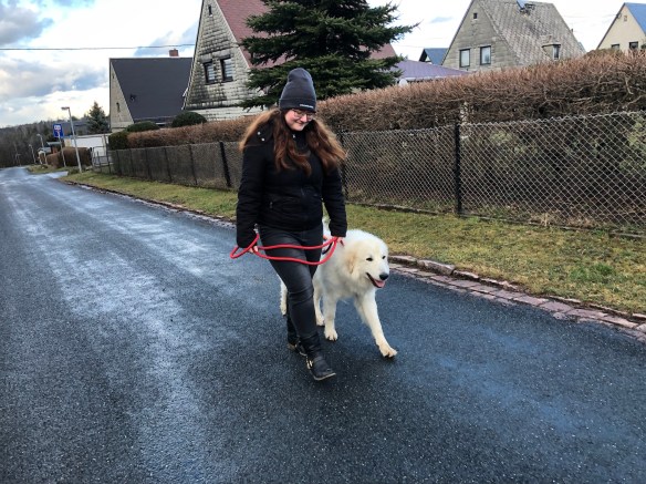 Die Bella macht mit ihrer großen Menschenschwester einen Abendspaziergang