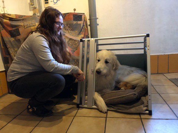 Die Bella beim Probeliegen in ihrem neuen Haus