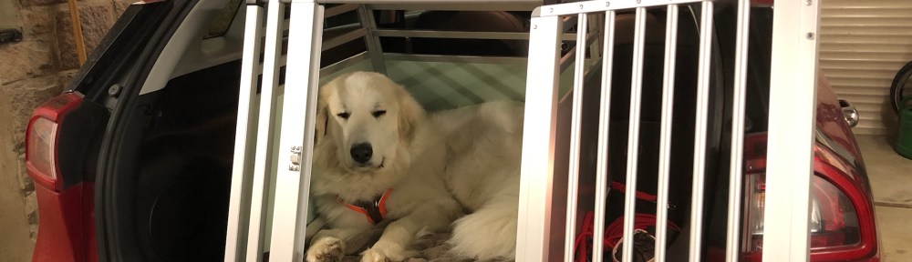 Wieder zu Hause. Ich bleibe in meinem roten Auto!