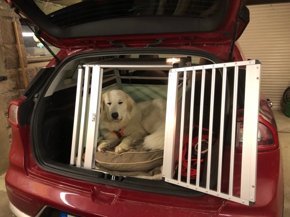 Wieder zu Hause. Ich bleibe in meinem roten Auto!