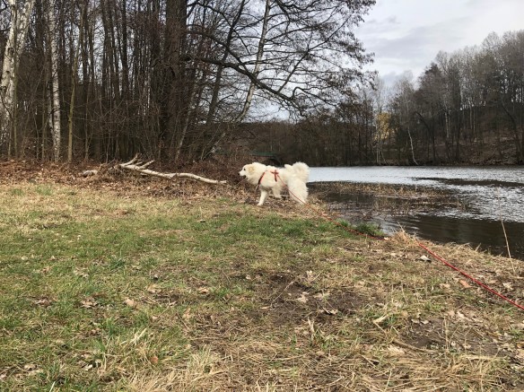 Am großen Fluß mit dem komischen Namen