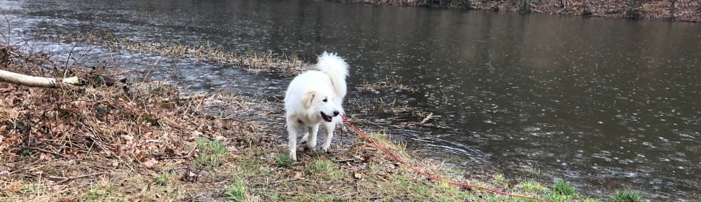 Am großen Fluß mit dem komischen Namen regnet es …