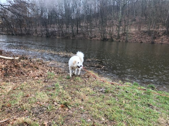 Am großen Fluß mit dem komischen Namen regnet es …