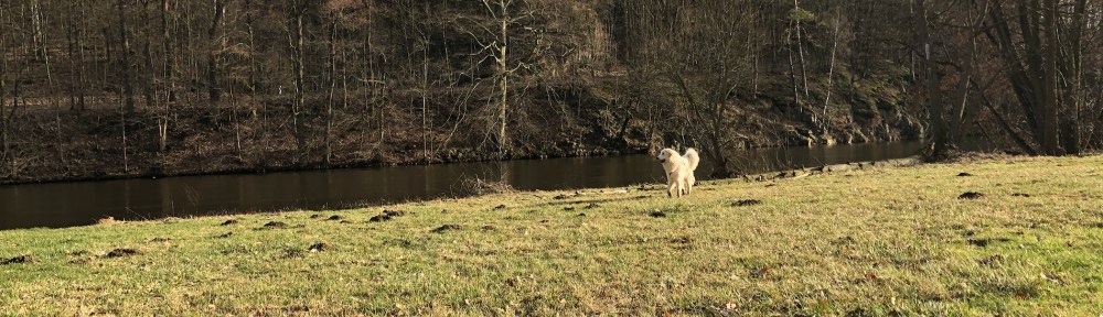 Die Bella auf der Wiese am großen Fluß mit dem komischen Namen