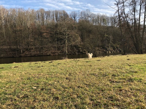 Die Bella auf der Wiese am großen Fluß mit dem komischen Namen