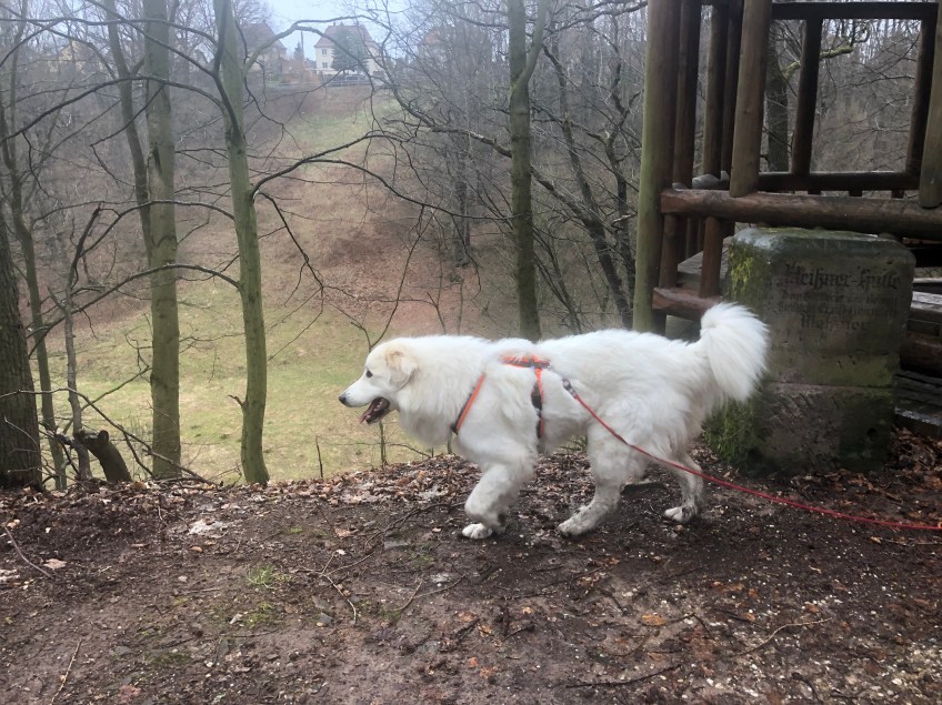 Auf dem Heimweg im Stadtpark