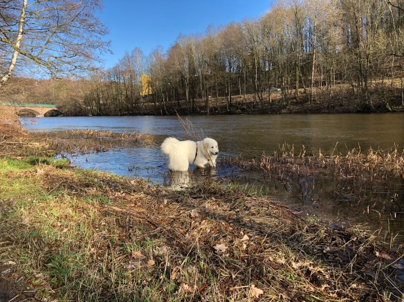 Baden im großen Fluß mit dem komischen Namen