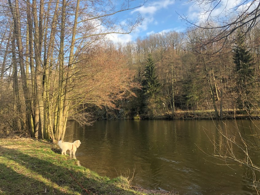 Die Bella am großen Fluß mit dem komischen Namen. Wer genau hinschaut, kann den weißen Reiher im Baum sehen!