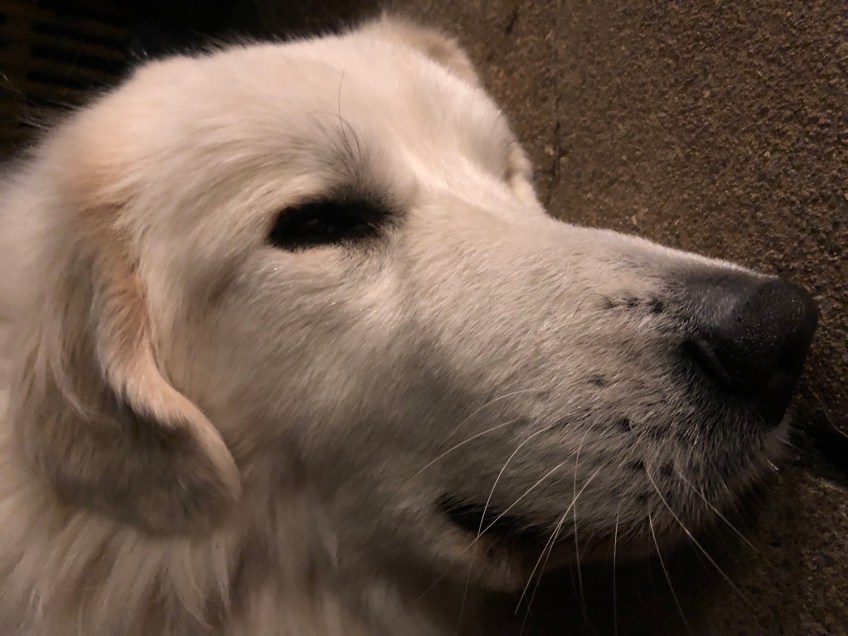 Gute Nacht!