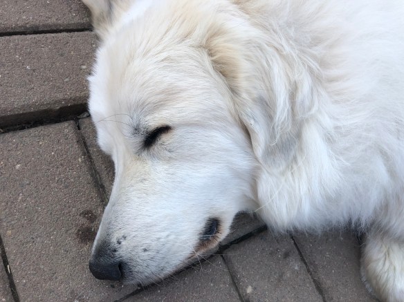 … und dann ruht sie sich aus