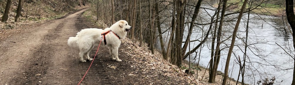 Auf dem Zschopautalweg