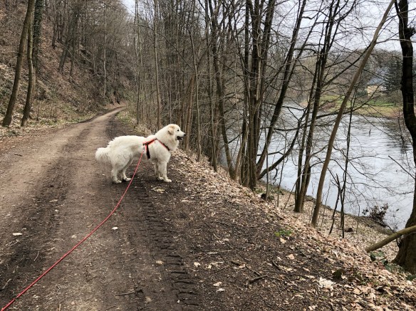 Auf dem Zschopautalweg