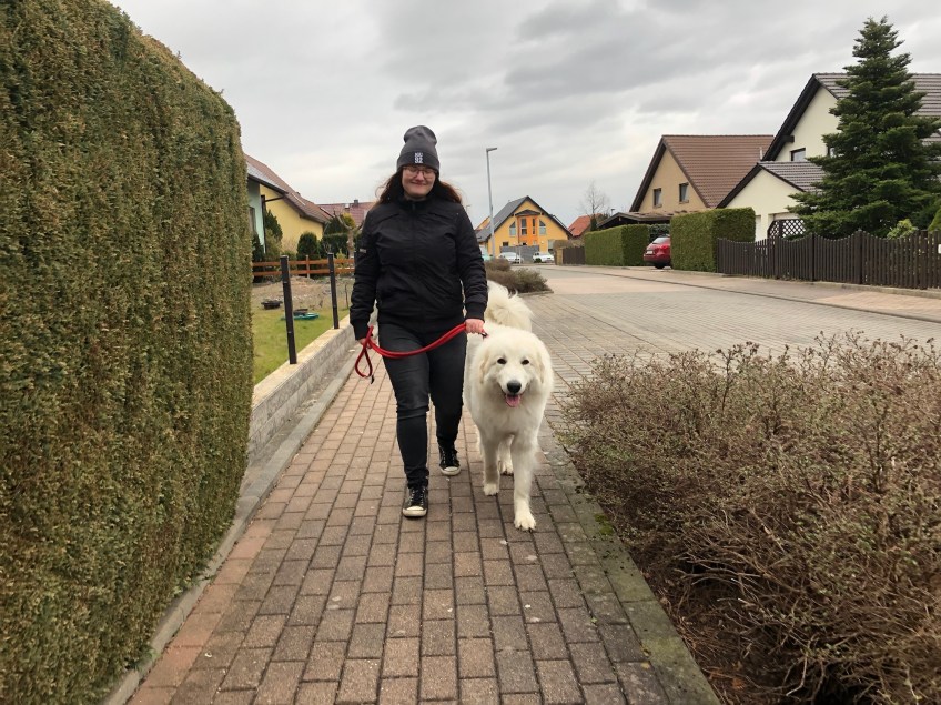 Die Bella geht mit ihrer großen Menschenschwester in ihrem Wohngebiet spazieren