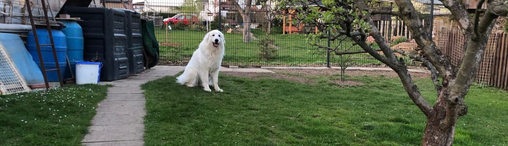 Da sitzt sie in ihrem Garten, die Bella …