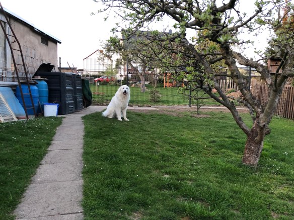 Da sitzt sie in ihrem Garten, die Bella …