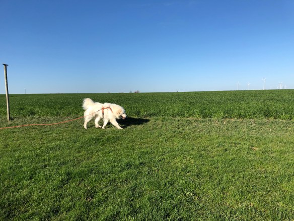 94E20147-C06E-49E5-9AB7-AAB2AAB70702