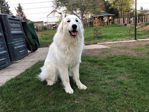 … bin ich nicht wunderhübsch