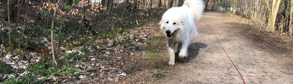 … und auf dem Wanderweg!