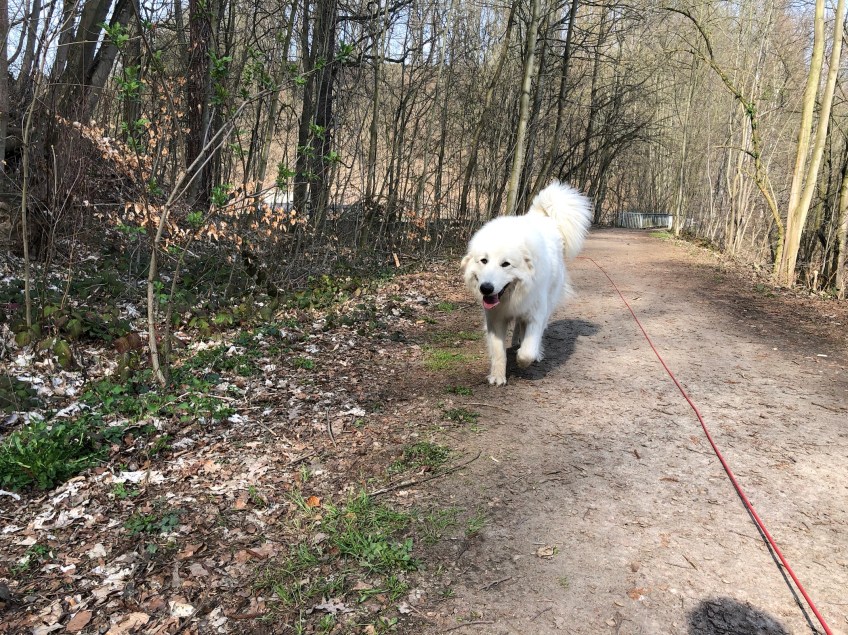 … und auf dem Wanderweg!