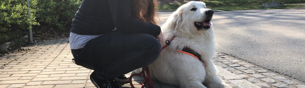 Die Bella macht eine Pause mit ihrer großen Menschenschwester