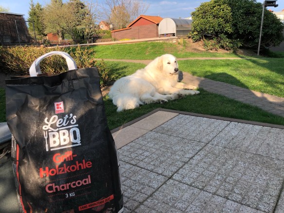 Wir grillieren – und die Bella paßt auf!