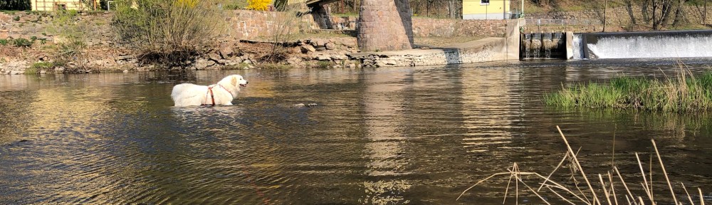 Die Bella im großen Fluß mit dem komischen Namen an der Wackelbrücke