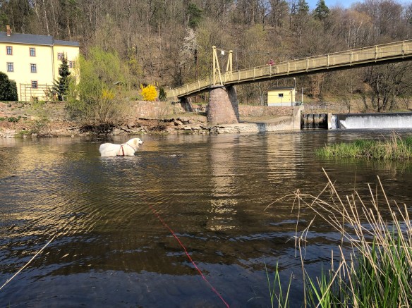 Die Bella im großen Fluß mit dem komischen Namen an der Wackelbrücke