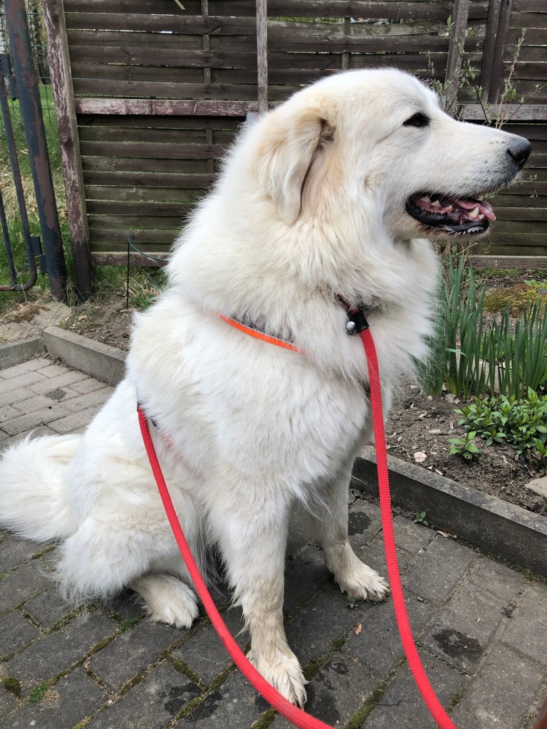 So schön ist die Bella