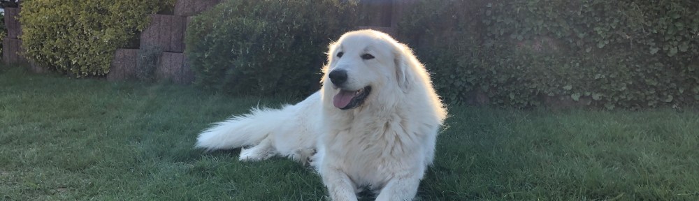 Der Nebel ist weg, die liebe Sonne ist da