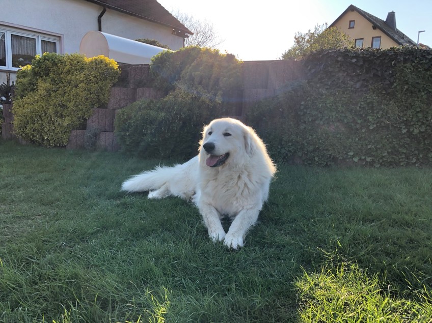 Der Nebel ist weg, die liebe Sonne ist da