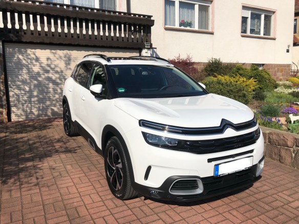 Bellas neues Auto. Pyrenäenberghundeweiß!