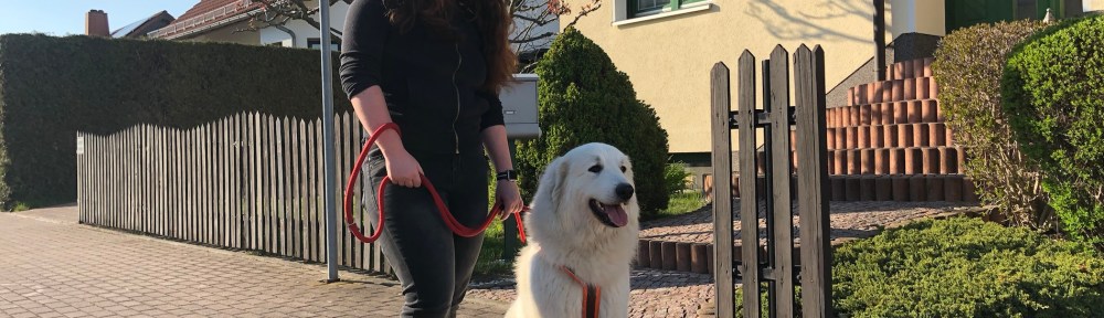 Abendspaziergang mit meiner großen Menschenschwester