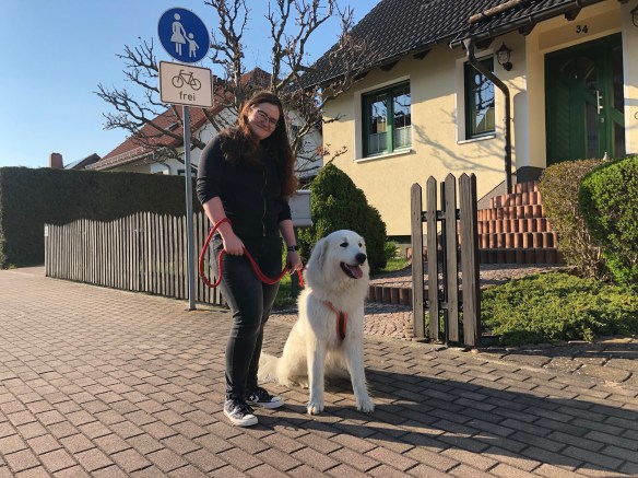 Abendspaziergang mit meiner großen Menschenschwester