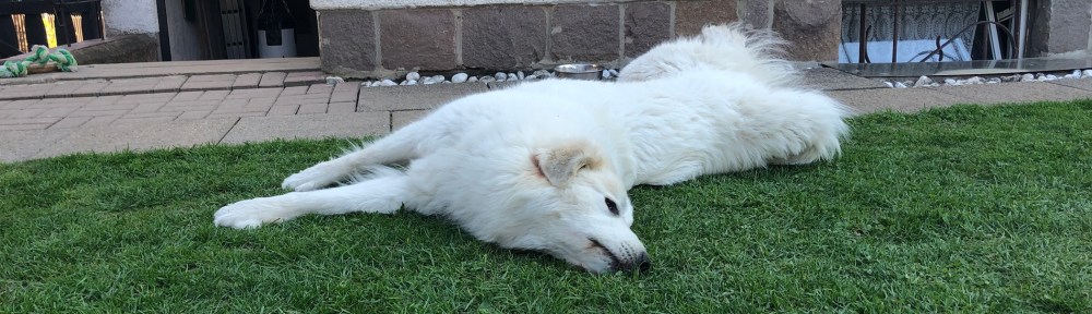 … ganz sehr wohlfühlen …