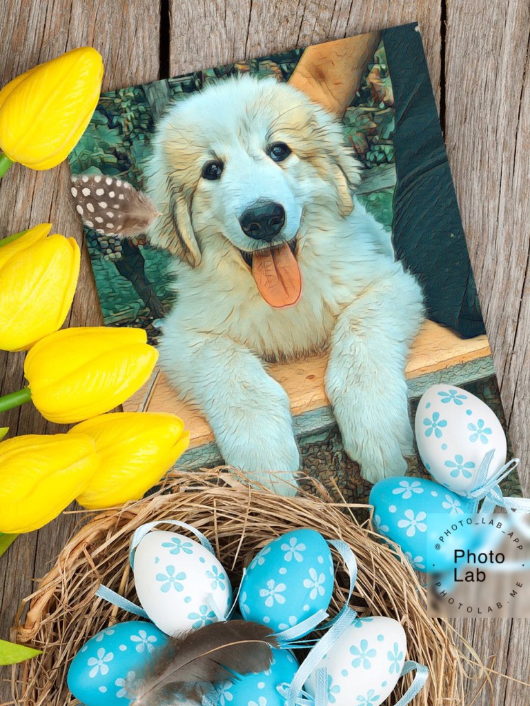 Die Oster-Bella wünscht allen ein schönes Osterfest