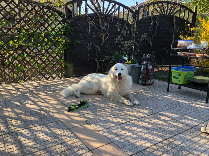 Grillabend