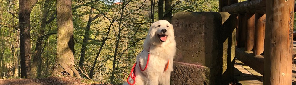 Osterspaziergang mit der außerordentlich freundlichen Annastasia Isabella Prinzessin Idefix vom Ehrenberger Hof