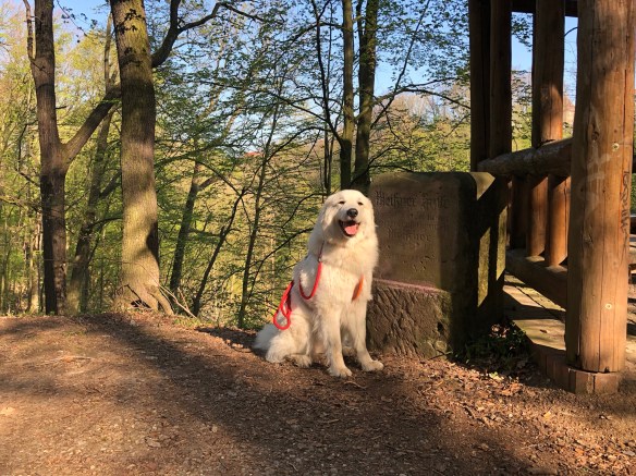 Osterspaziergang mit der außerordentlich freundlichen Annastasia Isabella Prinzessin Idefix vom Ehrenberger Hof