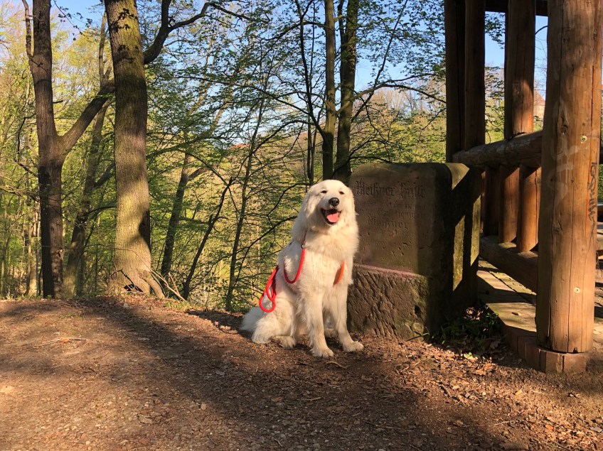 Osterspaziergang mit der außerordentlich freundlichen Annastasia Isabella Prinzessin Idefix vom Ehrenberger Hof